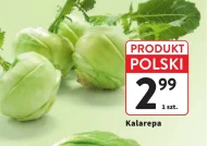 Kalarepa Polski