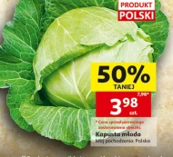 Kapusta młoda Polski
