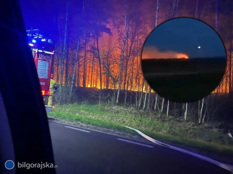 Podczas akcji gaśniczej na Lubelszczyźnie rozbił się samolot gaśniczy Samolot gaśniczy rozbity podczas akcji gaśniczej, wóz strażacki i wąż strażacki przy płonącym lesie na Lubelszczyźnie.