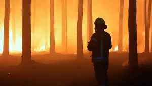Wielki pożar na Lubelszczyźnie. Wojsko rusza na pomoc strażakom
