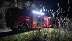 Pożar na Lubelszczyźnie został opanowany