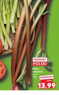 Ревінь Polski