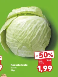 Kapusta biała