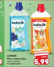 Płyn uniwersalny Ludwik