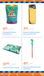 Promocja tygodnia - Action