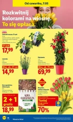 To się opłaca!- Lidl