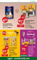 Giga Fodziki! - Żabka