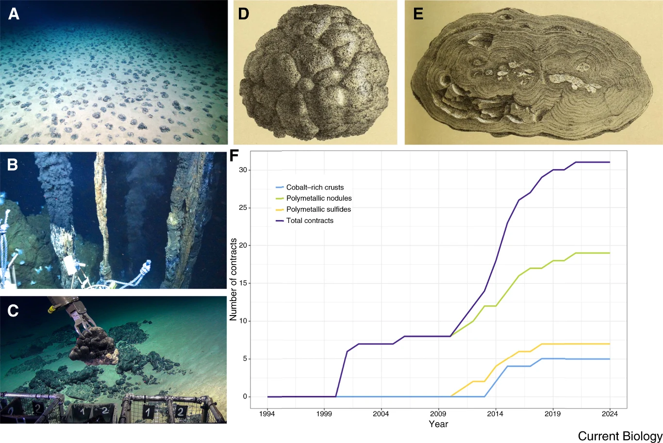 Różnorodne formacje geologiczne z dna morskiego, w tym kruszywa kobaltowo-manganowe, formacje hydrotermalne, robotyczne ramię wydobywające próbki oraz wykres ilustrujący liczbę kontraktów na eksplorację i wydobycie tych zasobów w zależności od typu zło...