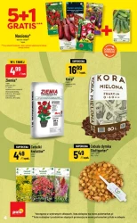 Inspirujący tydzień - POLOmarket