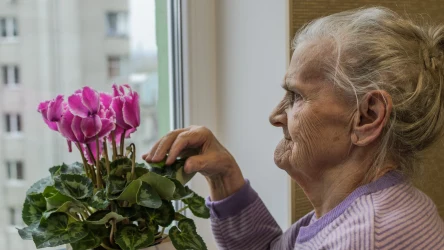 Zimna Zośka, czyli dzień 15 maja, to przełomowa data w roku. Warto wykorzystać moc tego dnia, by przyciągnąć szczęście w finansach. Jak to zrobić?