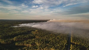 Interia dotarła do świadków katastrofy samolotu gaśniczego. Na zdjęciu: pożar lasu w pow. biłgorajskim