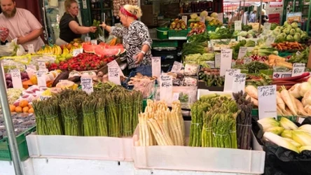 Sezon na szparagi ruszył na dobre – Lidl sprzedaje je za 9,99 zł, Carrefour schodzi poniżej 8 zł