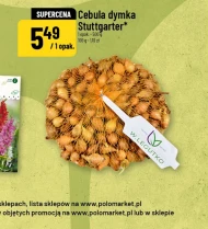 Зелена цибуля W. legutko