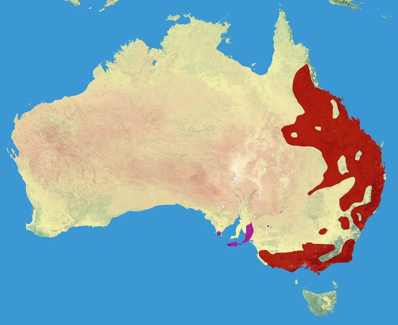 Mapa Australii z wyraźnie zaznaczonymi kolorami obszarami występowania określonych gatunków na wschodzie i południu kontynentu; większość czerwonego obszaru pokrywa wschodnią i południowo-wschodnią Australię, mniejsze fioletowe fragmenty występują na p...