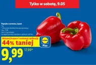 Papryka