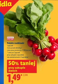 Rzodkiewki Polski