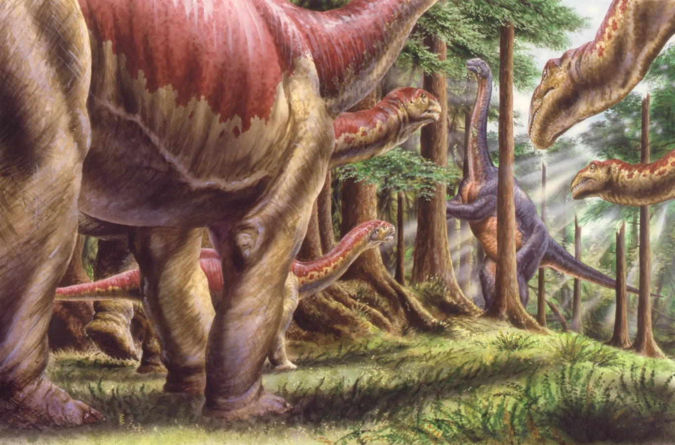 Stado dużych, długoszyich dinozaurów wędrujących wśród wysokich drzew w gęstym lesie, promienie słońca przebijają się przez korony i oświetlają zwierzęta.