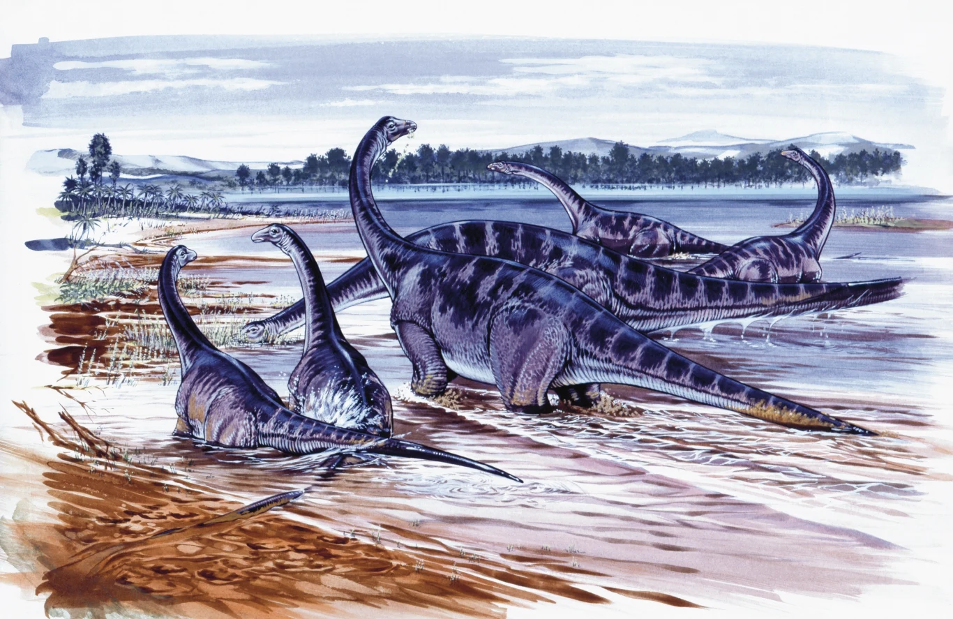 Cztery duże dinozaury z długimi szyjami i ogonami brodzą w płytkiej wodzie nad brzegiem jeziora, zwrócone w różnych kierunkach, otoczone roślinnością i otwartą przestrzenią.