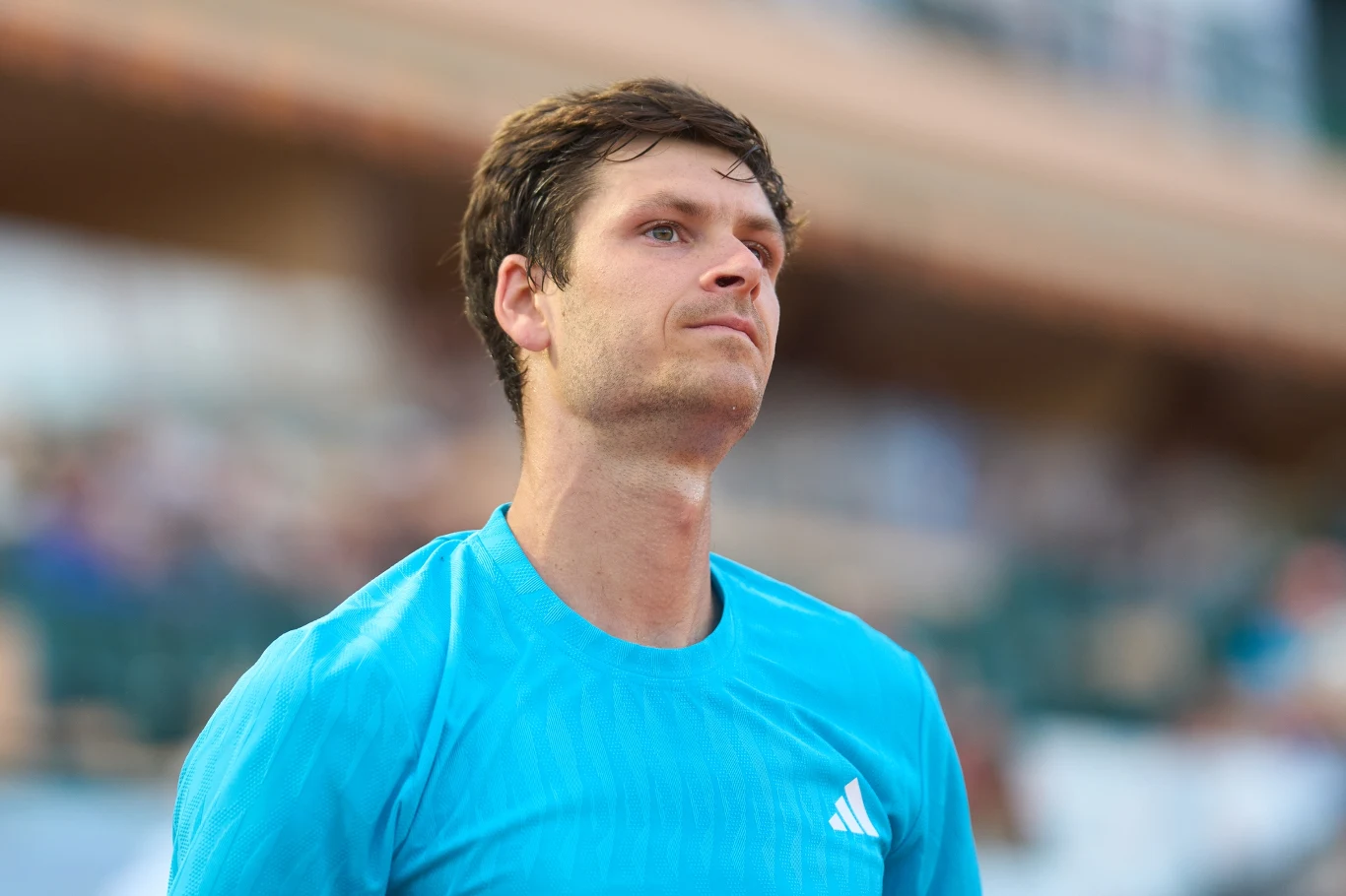 Hubert Hurkacz article cover