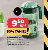 Dzbanek Kaktus