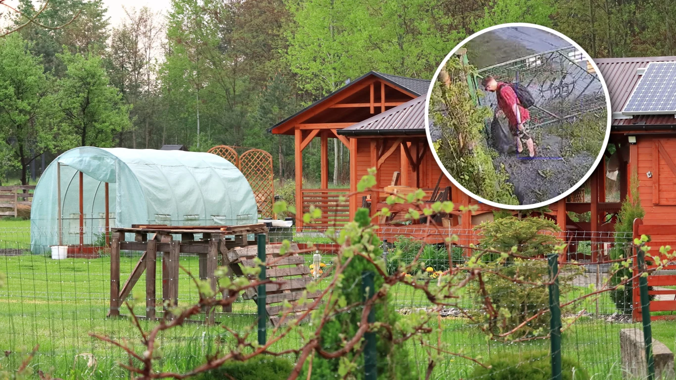 Za nielegalne wyrzucanie śmieci na działce ROD grozi nawet wypowiedzenie umowy dzierżawy Drewniany domek letniskowy ze szklarnią, postać w czerwonej kurtce obok ogrodzenia na działce ROD.