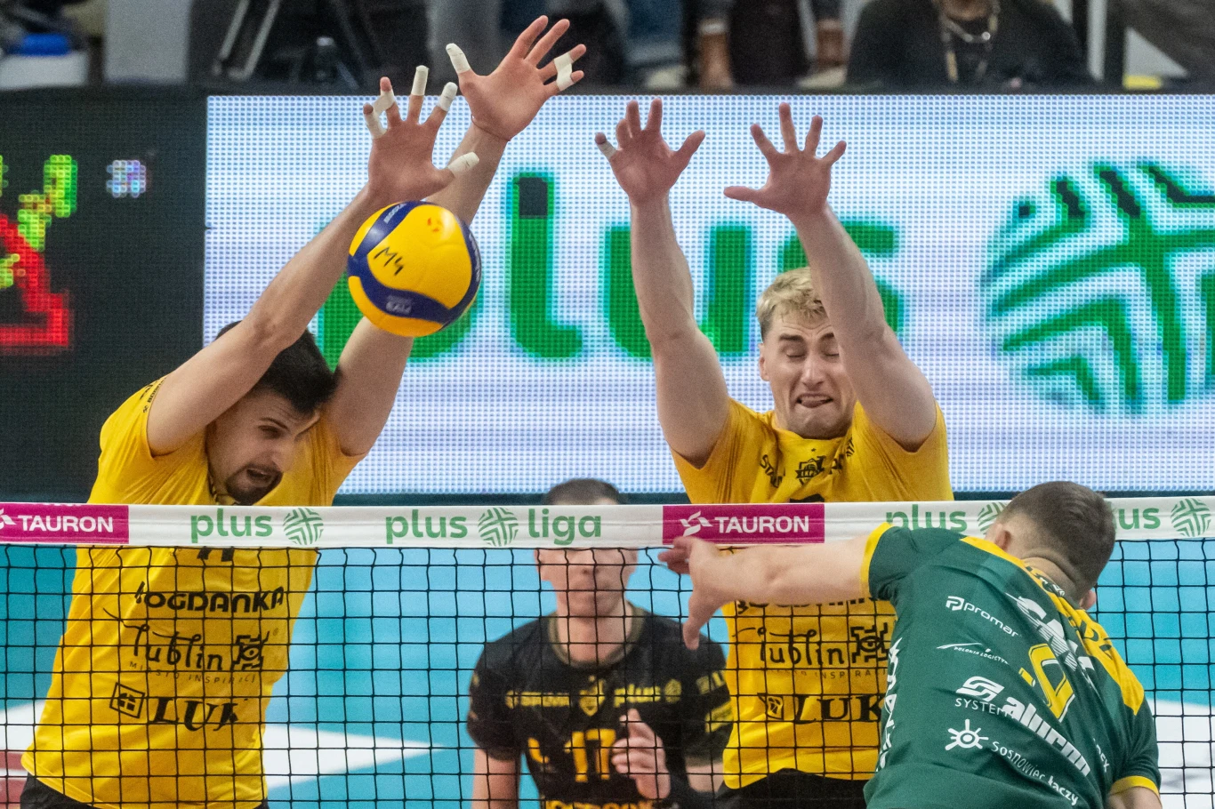 Dwóch siatkarzy w żółtych koszulkach próbuje zablokować atak zawodnika w zielonej koszulce podczas meczu siatkarskiego ligi PlusLiga.