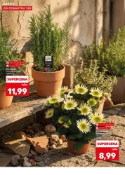 Wiosenne inspiracje - Kaufland