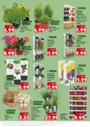 Wiosenne inspiracje - Kaufland