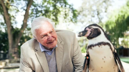 Sir Davbid Attenborough kręci filmy przyrodnicze od ponad 70 lat