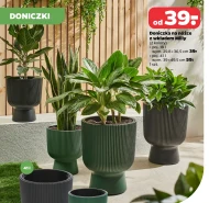Doniczka Milly