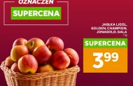 Jabłka Champion