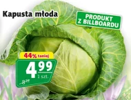 Kapusta młoda