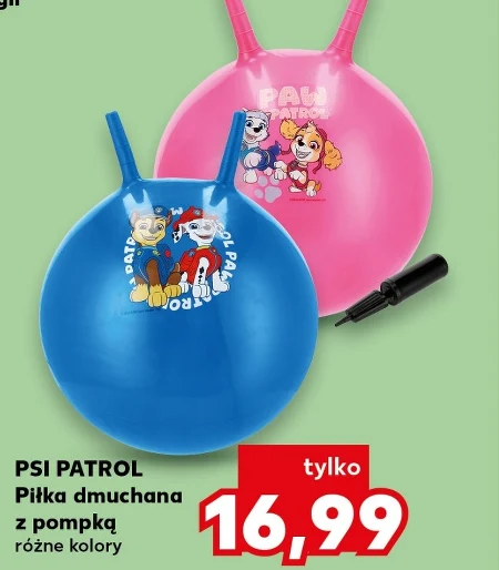 Надувний м'яч Psi Patrol