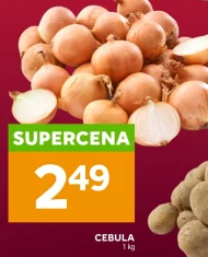 Cebula