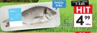 Ryba Mirko