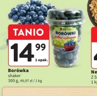 Borówka amerykańska K!