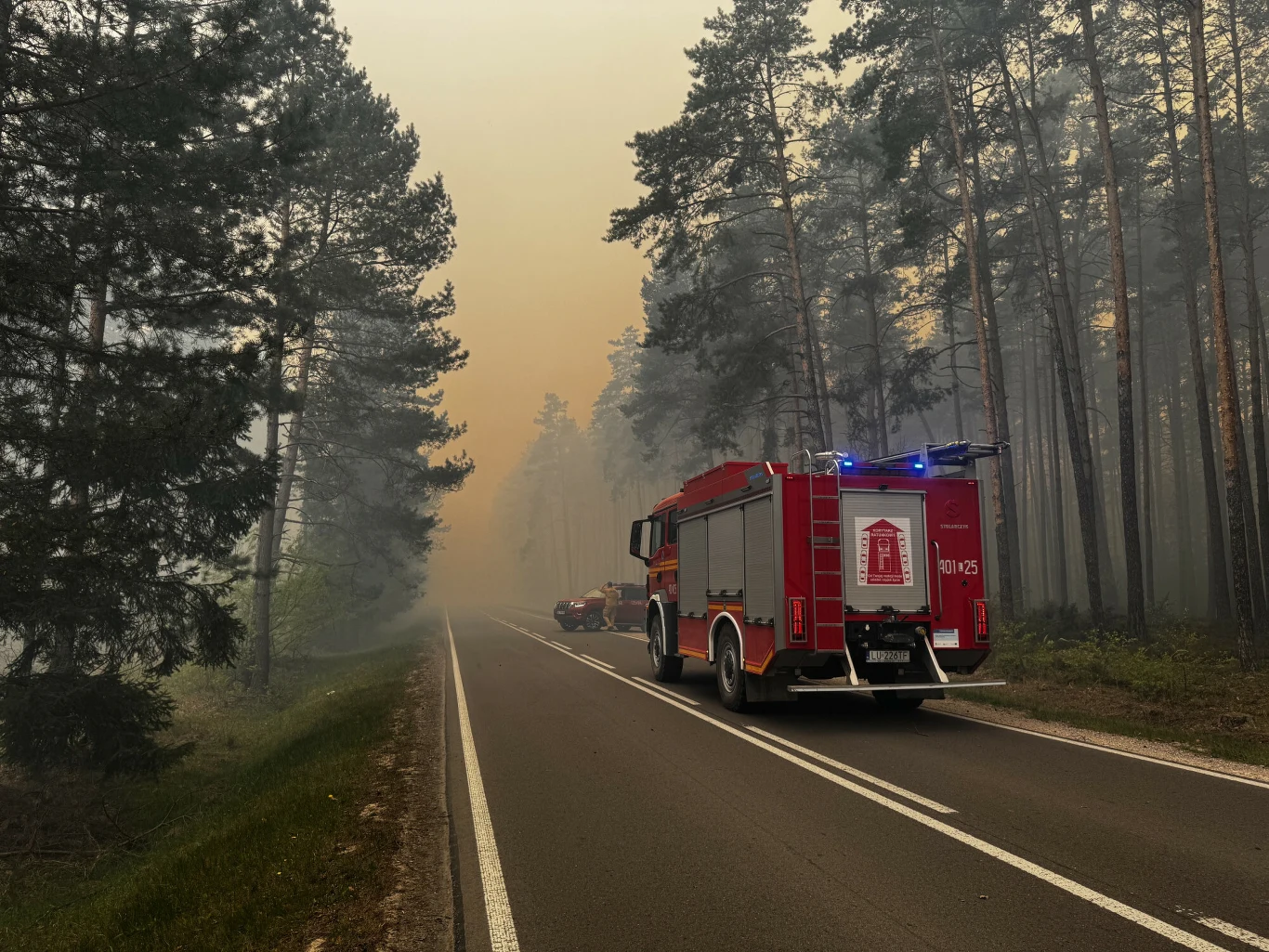 MKiŚ wydało oświadczenie w sprawie tragedii podczas gaszenia pożaru w Puszczy Solskiej Pożar w Puszczy Solskiej. Wóz strażacki na sygnale na drodze w lesie