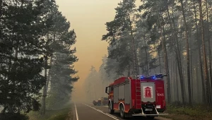 Katastrofa dromadera. Ministerstwo odpowiada na "nieuprawnione spekulacje"