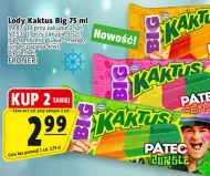 Lody Kaktus