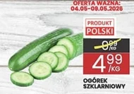 Ogórek Polski