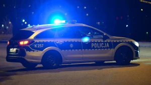 Kujawsko-pomorskie: Nie żyje 12-latka, która zasłabła podczas podróży autostradą A1. Zdj. ilustracyjne