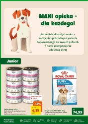 Smakołyki i okazje dla zwierzaków - Maxi Zoo