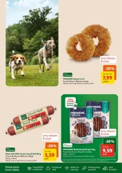 Smakołyki i okazje dla zwierzaków - Maxi Zoo