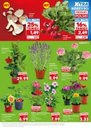 Mocny Start - Kaufland