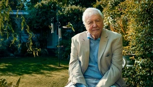 Sir David Attenborough w swoim ogrodzie w domu w Londynie
