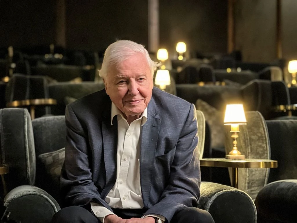 Sir David Attenborough Sir David Attenborough w garniturze siedzi na fotelu w przyciemnionej sali z fotelami i lampkami.