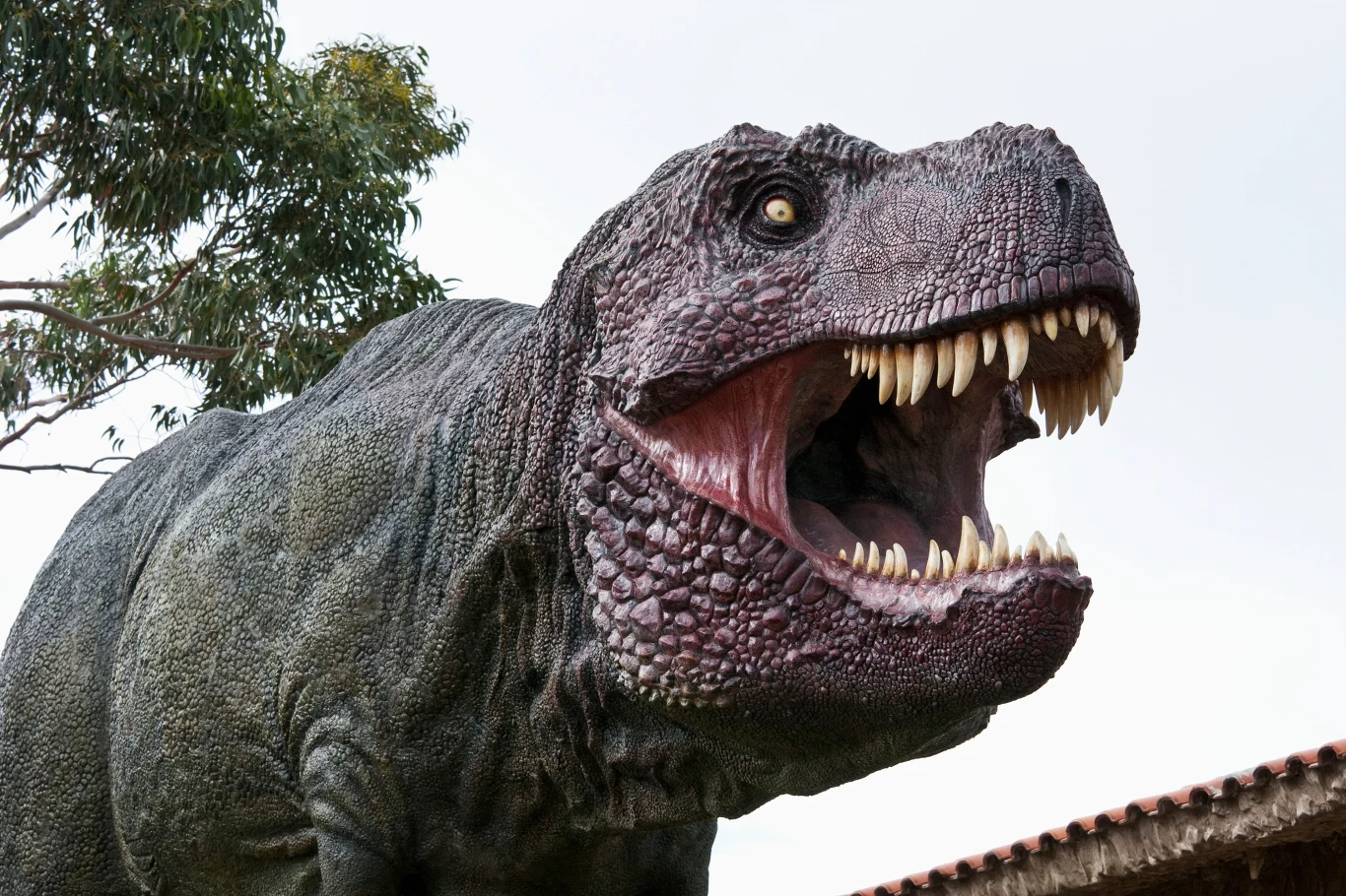 Tyranozaur z szeroko otwartą paszczą i ostrymi zębami, patrzący groźnie w bok.