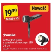Lampa punktowa Anslut