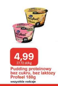 Пудинг Profeel