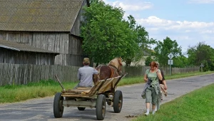 Jak dobrze znasz polską wieś? Komplet punktów zdobywają nieliczni